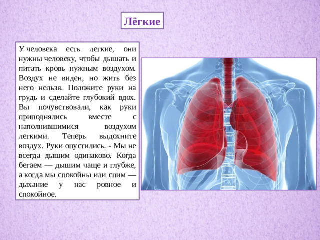 Лёгкие У человека есть легкие, они нужны человеку, чтобы дышать и питать кровь нужным воздухом. Воздух не виден, но жить без него нельзя. Положите руки на грудь и сделайте глубокий вдох. Вы почувствовали, как руки приподнялись вместе с наполнившимися воздухом легкими. Теперь выдохните воздух. Руки опустились. - Мы не всегда дышим одинаково. Когда бегаем — дышим чаще и глубже, а когда мы спокойны или спим — дыхание у нас ровное и спокойное.