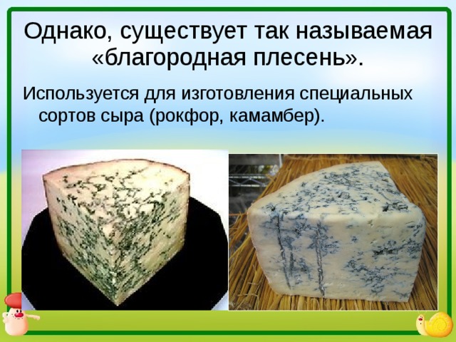 Однако, существует так называемая «благородная плесень». Используется для изготовления специальных сортов сыра (рокфор, камамбер).