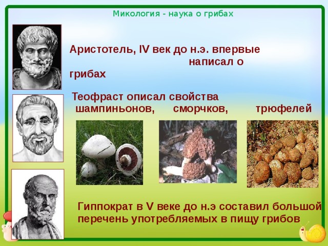 Микология - наука о грибах Аристотель, IV век до н.э. впервые  написал о грибах  Теофраст описал свойства  шампиньонов, сморчков, трюфелей Гиппократ в V веке до н.э составил большой перечень употребляемых в пищу грибов