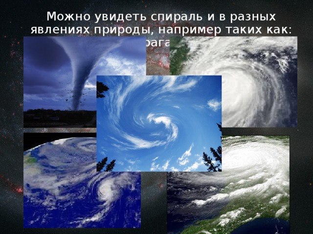 Можно увидеть спираль и в разных явлениях природы, например таких как: смерч, ураган, облака