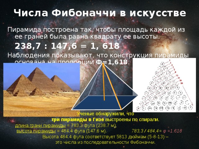 Числа Фибоначчи в искусстве Пирамида построена так, чтобы площадь каждой из ее граней была равна квадрату ее высоты.       238,7 : 147,6 = 1, 618 Наблюдения показывают, что конструкция пирамиды основана на пропорции Ф=1,618 . Ученые обнаружили, что три пирамиды в Гизе выстроены по спирали. длина грани пирамиды = 783.3 фута (238.7 м),  высота пирамиды = 484.4 фута (147.6 м). 783,3 / 484,4= φ =1.618  Высота 484.4 фута соответствует 5813 дюймам (5-8-13) – это числа из последовательности Фибоначчи.