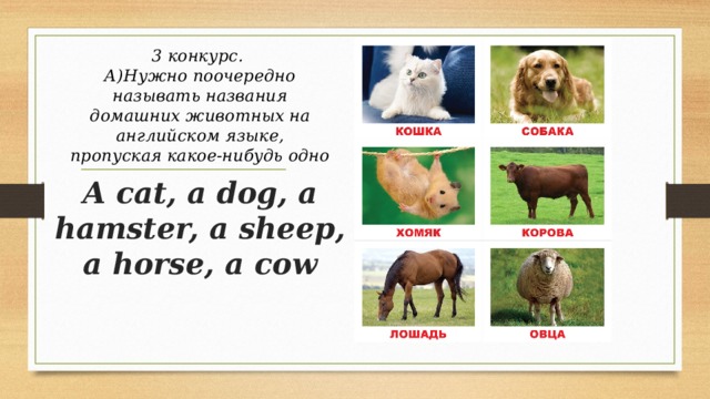 3 конкурс.  А)Нужно поочередно называть названия домашних животных на английском языке, пропуская какое-нибудь одно A cat, a dog, a hamster, a sheep, a horse, a cow
