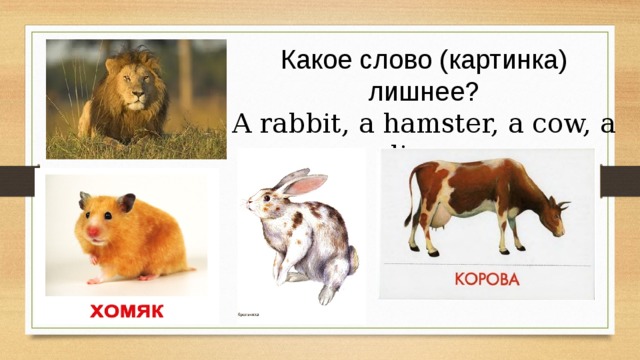 Какое слово (картинка) лишнее? A rabbit, a hamster, a cow, a lion.  
