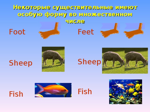 Некоторые существительные имеют особую форму во множественном числе Foot Feet Sheep Fish Sheep Fish