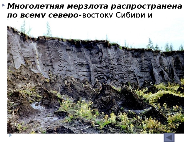 Многолетняя мерзлота распространена по всему северо- востоку Сибири и достигает толщины 400–600 м. В мёрзлых рыхлых породах северных низменностей и в речных долинах есть ископаемый (жильный) лёд.