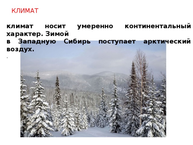 Климат климат носит умеренно континентальный характер. Зимой в Западную Сибирь поступает арктический воздух. .