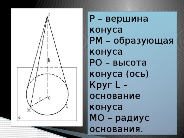 Р – вершина конуса РМ – образующая конуса РО – высота конуса (ось) Круг L – основание конуса МО – радиус основания.