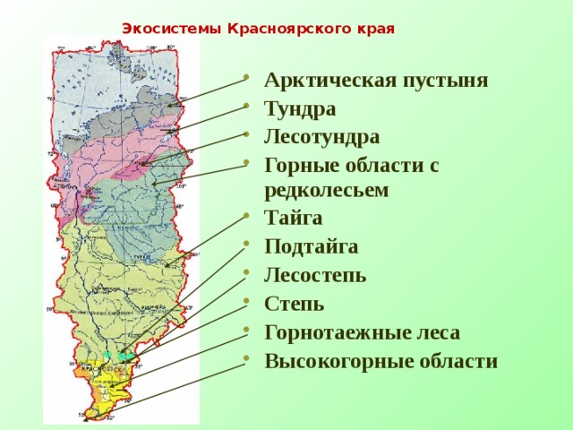Экосистемы Красноярского края