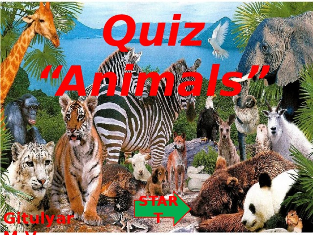 Quiz “Animals” START Gitulyar M.V.