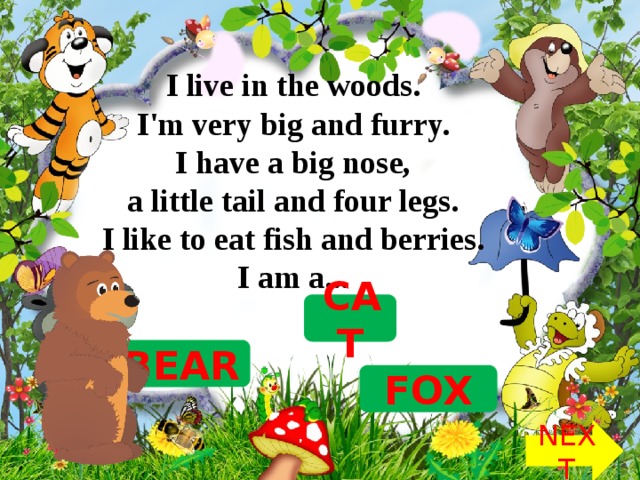I live in the woods.   I'm very big and furry.   I have a big nose,  a little tail and four legs.   I like to eat fish and berries.   I am a...  CAT BEAR FOX NEXT