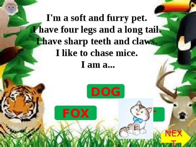 I'm a soft and furry pet.   I have four legs and a long tail.   I have sharp teeth and claws.   I like to chase mice.   I am a... DOG FOX CAT NEXT