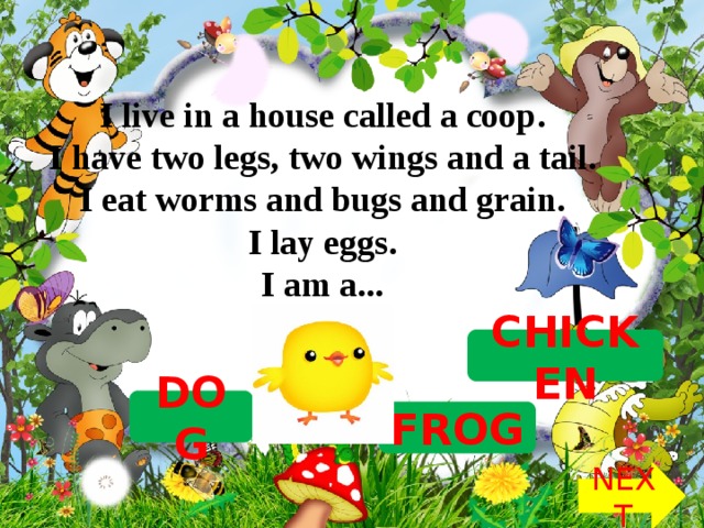 I live in a house called a coop.   I have two legs, two wings and a tail.   I eat worms and bugs and grain.   I lay eggs.   I am a...  CHICKEN DOG FROG NEXT