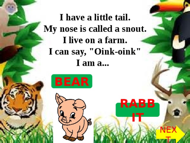 I have a little tail.  My nose is called a snout.  I live on a farm.  I can say, 