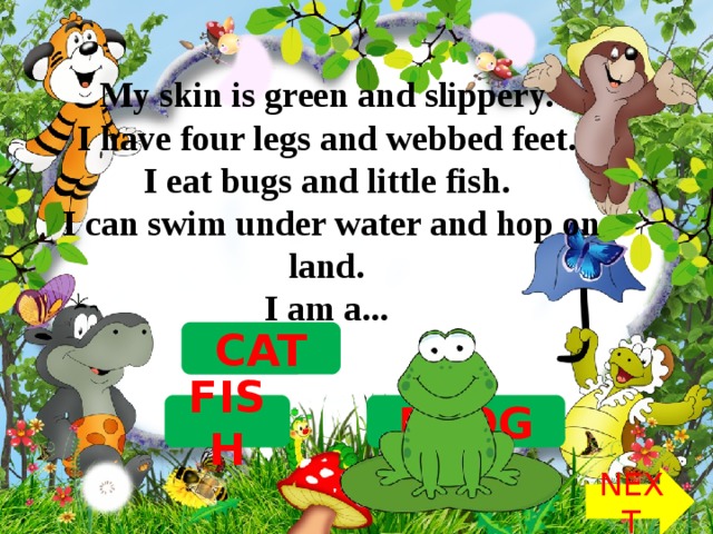 My skin is green and slippery.   I have four legs and webbed feet.   I eat bugs and little fish.   I can swim under water and hop on land.   I am a...  CAT FROG FISH NEXT