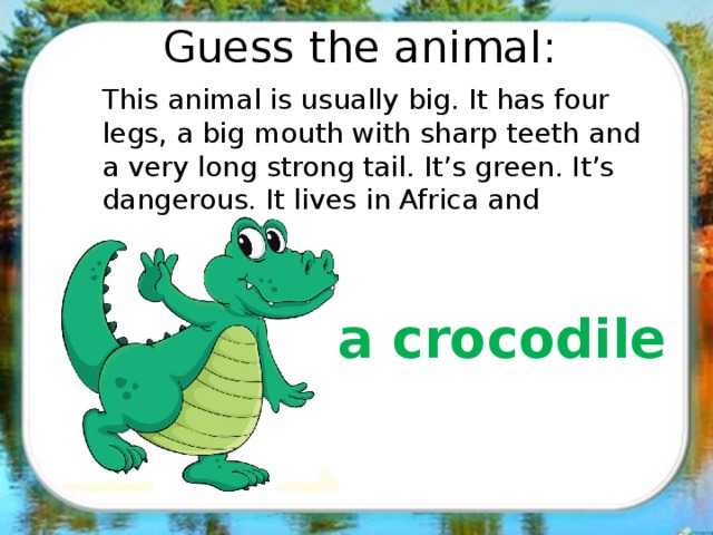 Guess the animal: This animal is usually big. It has four legs, а big mouth with sharp teeth and a very long strong tail. It’s green. It’s dangerous. It lives in Africa and Australia. a crocodile