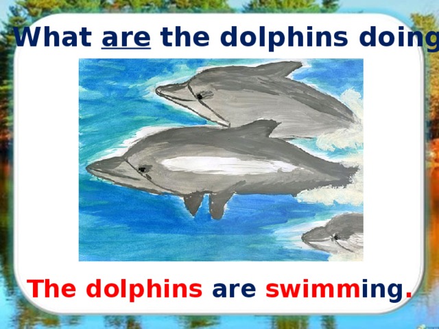 What are the dolphins doing? The dolphins are swimm ing .