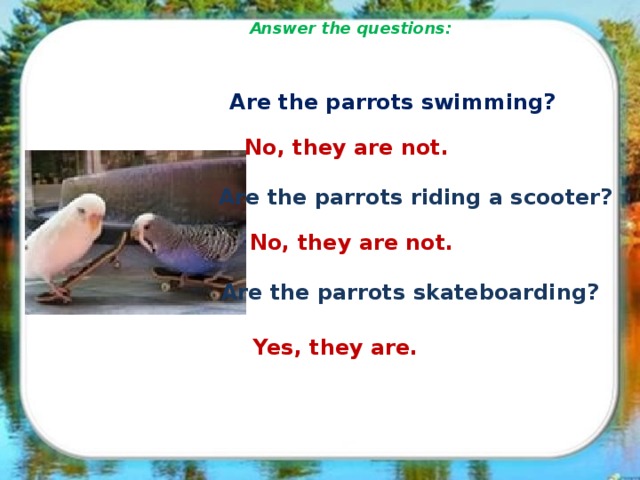 Answer the questions: Are the parrots swimming? No, they are not. Are the parrots riding a scooter? No, they are not. Are the parrots skateboarding? Yes, they are.