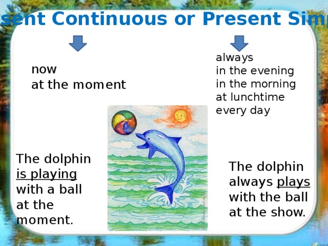 Present Continuous or Present Simple? always in the evening in the morning at lunchtime every day now at the moment The dolphin is playing with a ball at the moment. The dolphin always plays with the ball at the show.