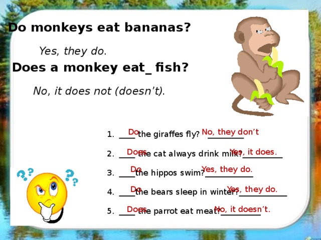 Do monkeys eat bananas? Yes, they do. Does a monkey eat_ fish? No, it does not (doesn’t). Do No, they don’t ____ the giraffes fly? _________ ____ the cat always drink milk?__________ ____the hippos swim?____________ ____the bears sleep in winter?____________ ____ the parrot eat meat?__________ Does Yes, it does. Do Yes, they do. Do Yes, they do. Does No, it doesn’t.