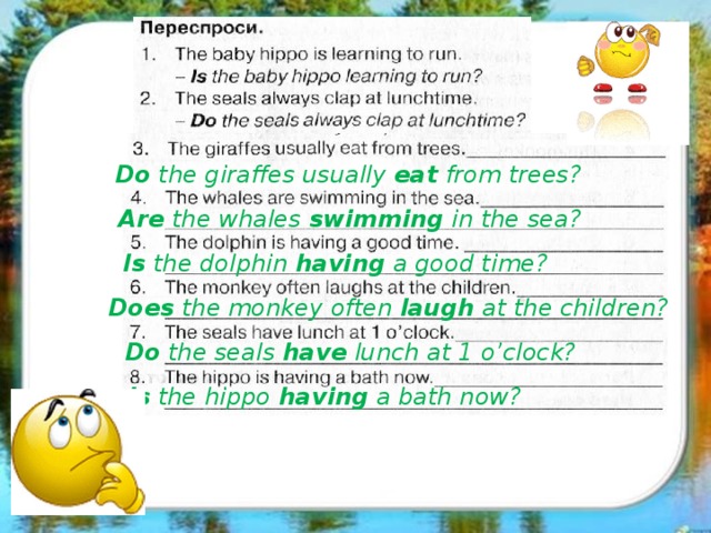 Do the giraffes usually eat from trees? Are the whales swimming in the sea? Is the dolphin having a good time? Does the monkey often laugh at the children? Do the seals have lunch at 1 o’clock? Is the hippo having a bath now?