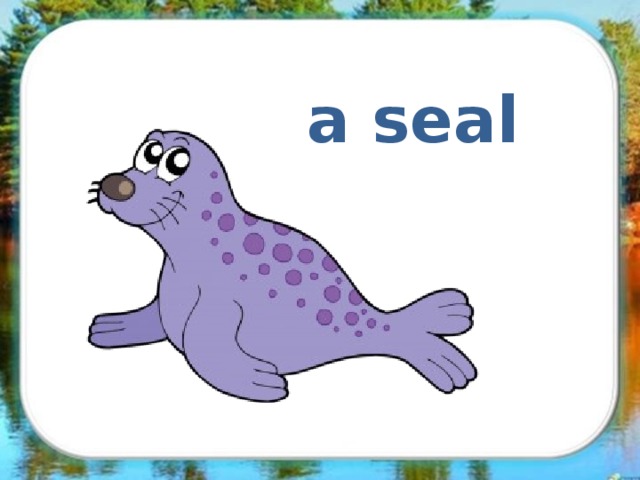 a seal