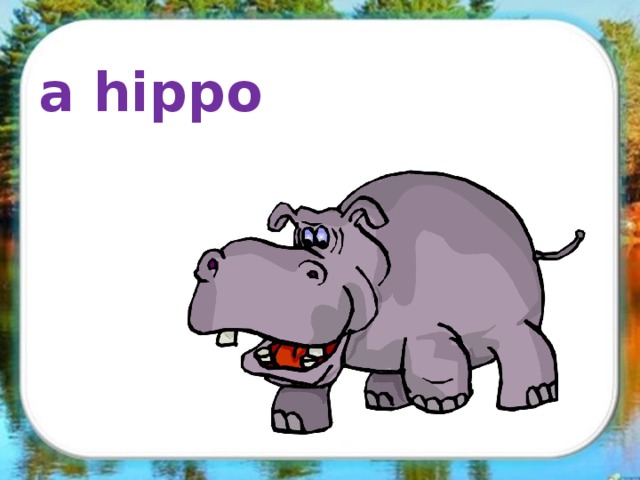 a hippo