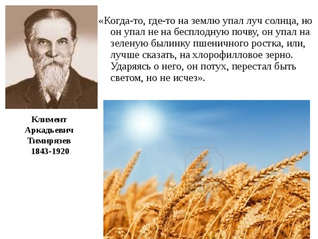 «Когда-то, где-то на землю упал луч солнца, но он упал не на бесплодную почву, он упал на зеленую былинку пшеничного ростка, или, лучше сказать, на хлорофилловое зерно. Ударяясь о него, он потух, перестал быть светом, но не исчез». Климент Аркадьевич  Тимирязев  1843-1920