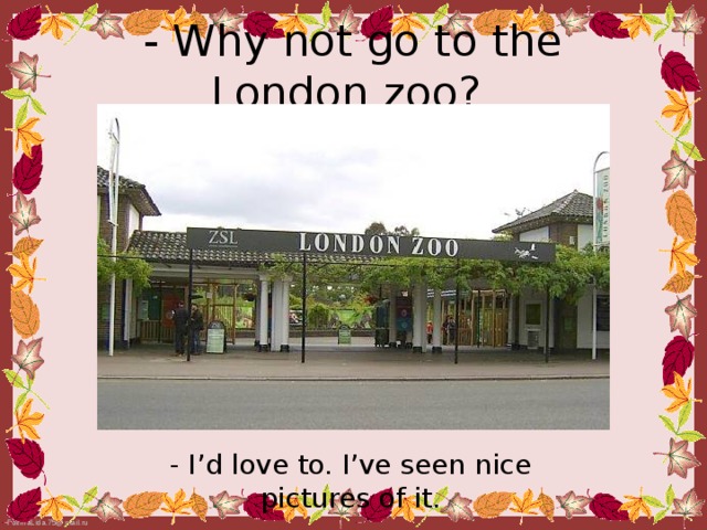 - Why not go to the London zoo?  - I’d love to. I’ve seen nice pictures of it.