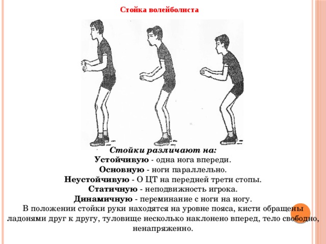 Стойка волейболиста Стойки различают на: Устойчивую - одна нога впереди. Основную - ноги параллельно. Неустойчивую - О ЦТ на передней трети стопы. Статичную - неподвижность игрока. Динамичную - переминание с ноги на ногу. В положении стойки руки находятся на уровне пояса, кисти обращены ладонями друг к другу, туловище несколько наклонено вперед, тело сво­бодно, ненапряженно.