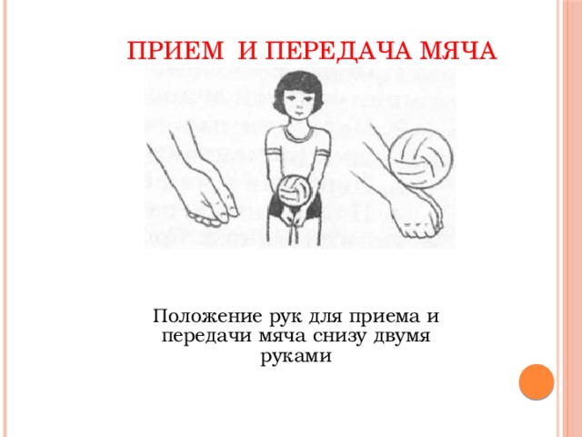 Прием и передача мяча Положение рук для приема и передачи мяча снизу двумя руками
