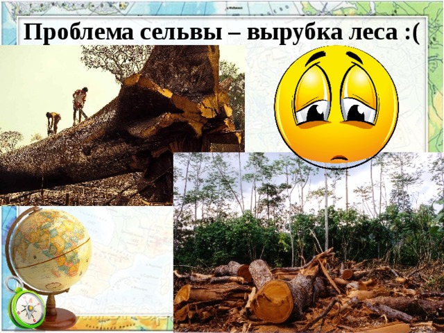 Проблема сельвы – вырубка леса :(