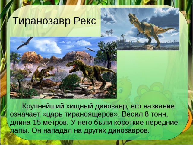 Тиранозавр Рекс  Крупнейший хищный динозавр, его название означает «царь тираноящеров». Весил 8 тонн, длина 15 метров. У него были короткие передние лапы. Он нападал на других динозавров.