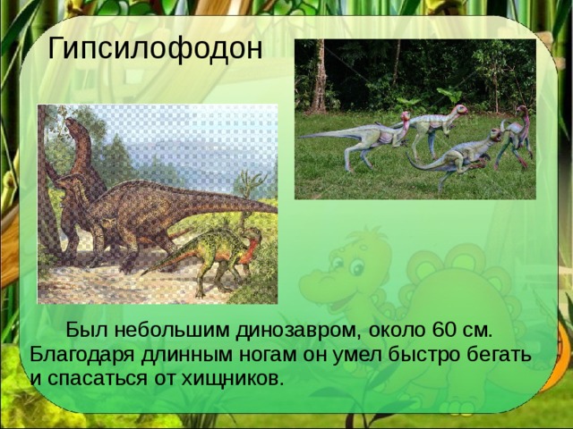 Гипсилофодон  Был небольшим динозавром, около 60 см. Благодаря длинным ногам он умел быстро бегать и спасаться от хищников.