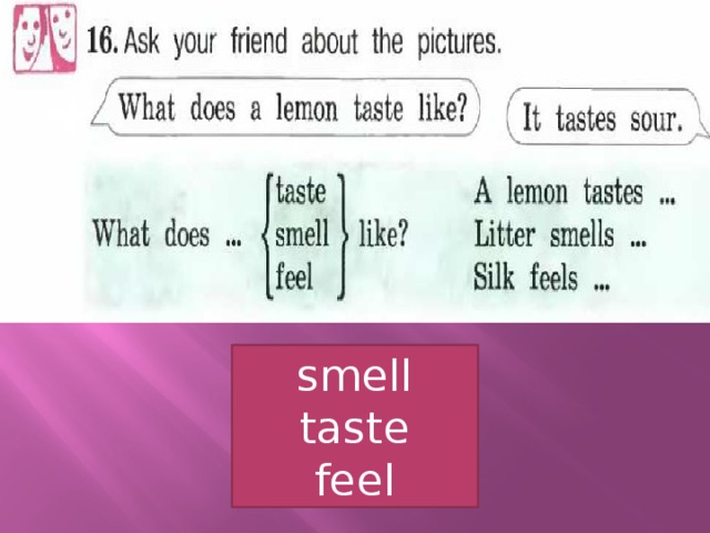 smell taste feel