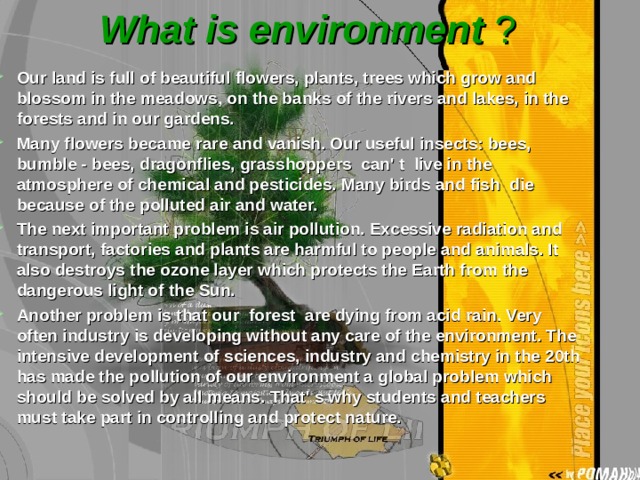 What is environment ?