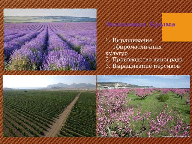 Экономика Крыма Выращивание эфиромасличных культур 2. Производство винограда 3. Выращивание персиков