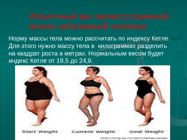 Избыточный вес является причиной многих заболеваний человека Норму массы тела можно рассчитать по индексу Кетле. Для этого нужно массу тела в килограммах разделить на квадрат роста в метрах. Нормальным весом будет индекс Кетле от 18,5 до 24,9.