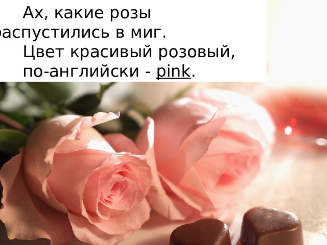 Ах, какие розы распустились в миг.  Цвет красивый розовый,  по-английски - pink .