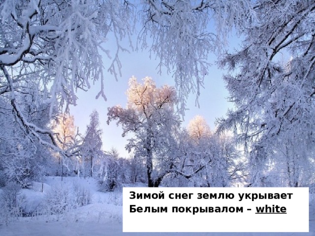 Зимой снег землю укрывает Белым покрывалом – white