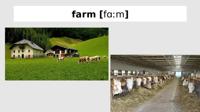 farm [ fɑːm ]