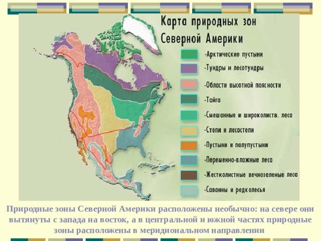 Природные зоны Северной Америки расположены необычно: на севере они вытянуты с запада на восток, а в центральной и южной частях природные зоны расположены в меридиональном направлении