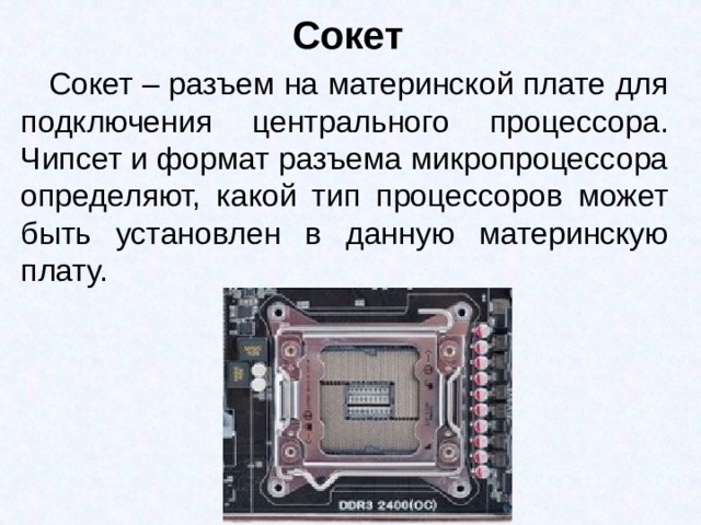 Сокет  Сокет – разъем на материнской плате для подключения центрального процессора. Чипсет и формат разъема микропроцессора определяют, какой тип процессоров может быть установлен в данную материнскую плату.