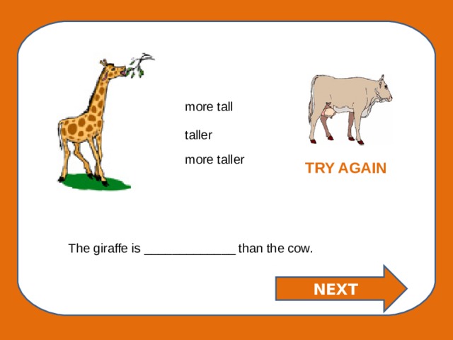 more tall taller more taller TRY AGAIN The giraffe is _____________ than the cow. NEXT