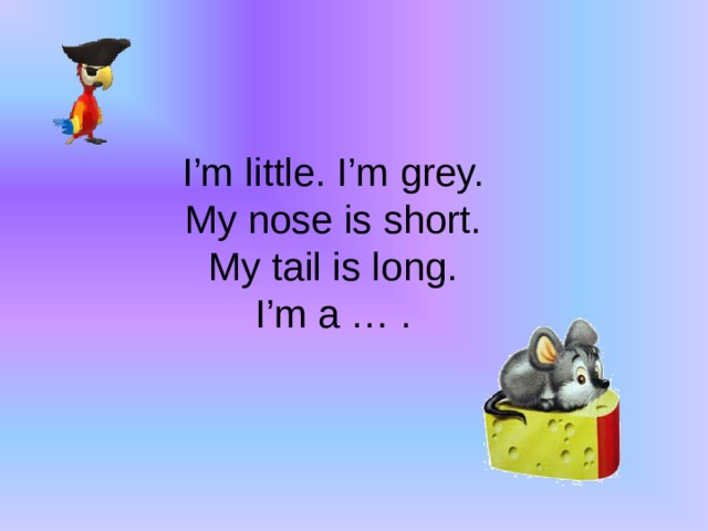 I’m little. I’m grey.  My nose is short.  My tail is long.  I’m a … .