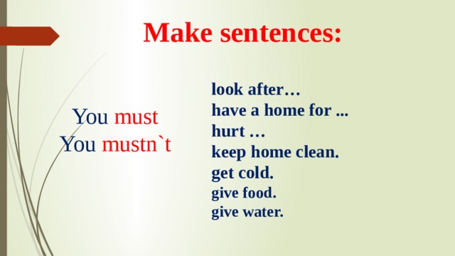 Make sentences: look after…  have a home for ...  hurt …  keep home clean.  get cold.  give food.  give water. You must You mustn`t