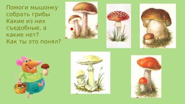Помоги мышонку собрать грибы Какие из них съедобные, а какие нет? Как ты это понял?