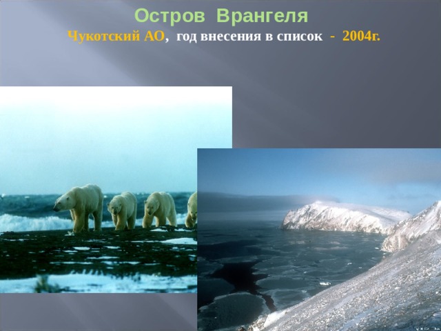 Остров Врангеля Чукотский АО , год внесения в список - 2004г.