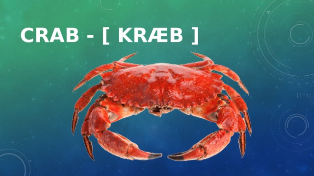 Crab - [ kræb ]