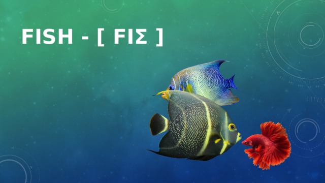 Fish - [ fiʃ ]