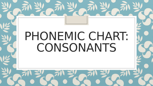 Phonemic chart: consonants